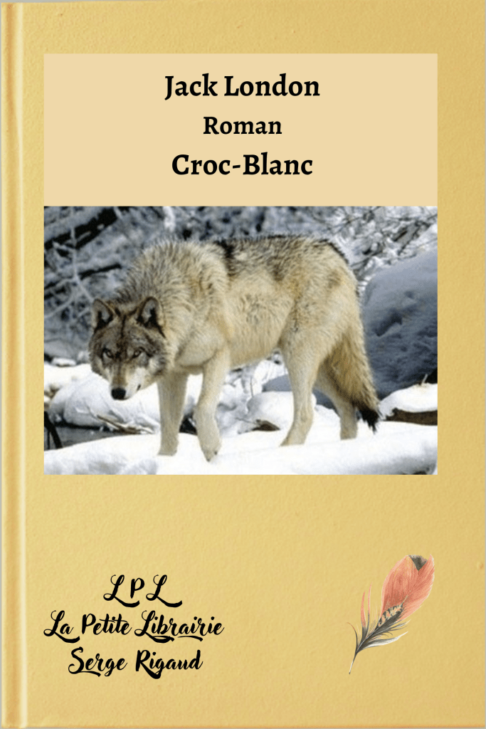 Croc-Blanc, roman, Jack London, lpllapetitelibrairie.fr