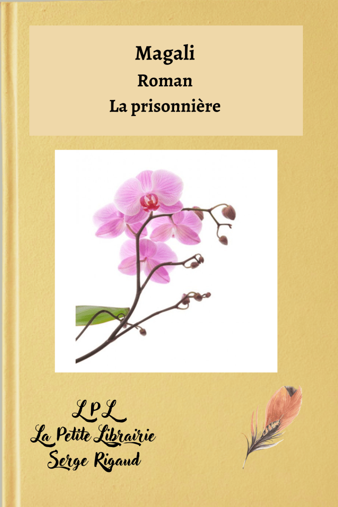 La prisonnière, Roman, Magali, lpllapetitelibrairie.fr